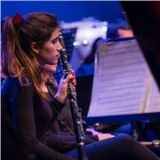 Clases particulares de Clarinete